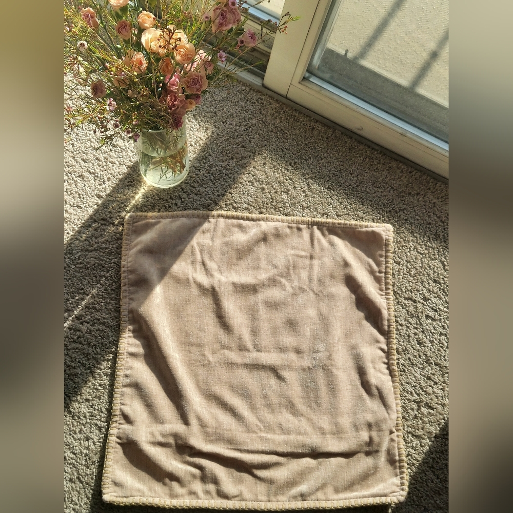 4 Velvet pillow cases